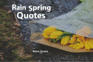 21+ Inspiring Rain Spring Quotes to Brighten Your Day