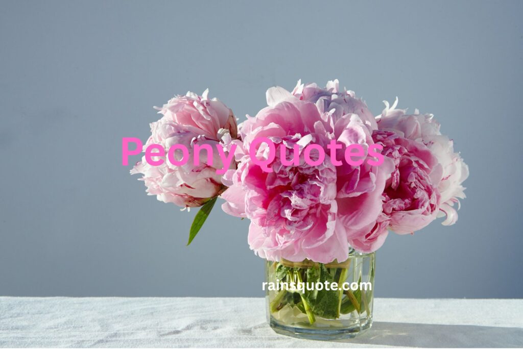 16 Real Peony Quotes About Love, Hope, and Life Lessons