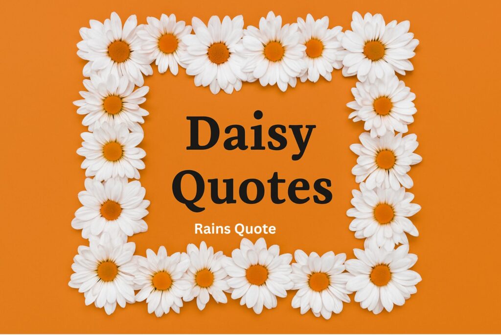 27 Daisy Quotes That Shaped My View on Hope, Love, and Life