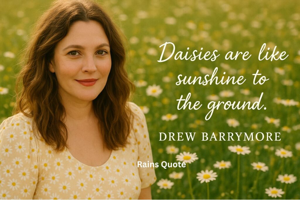 “Daisies are like sunshine to the ground.”