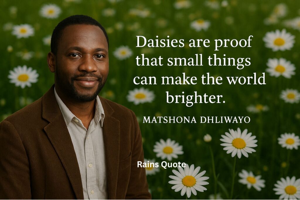 “Daisies are proof that small things can make the world brighter.”