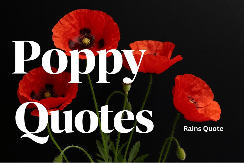 Discover 18 Inspiring Poppy Quotes 🌺 to Brighten Your Life