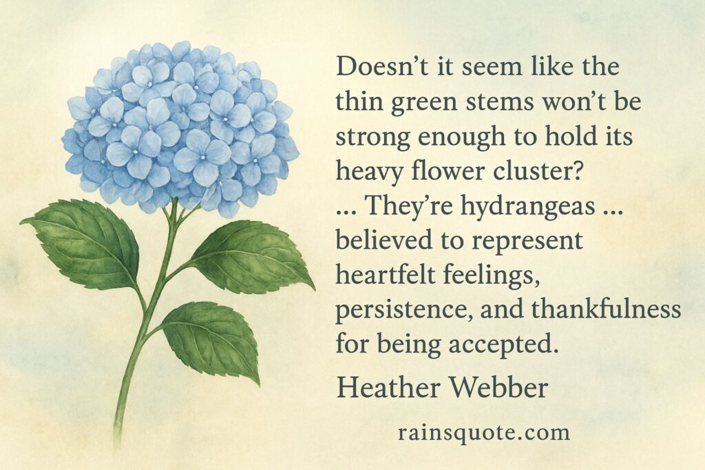 “Doesn’t it seem like the thin green stems won’t be strong enough to hold its heavy flower cluster? … They’re hydrangeas … believed to represent heartfelt feelings, persistence, and thankfulness for being accepted.”