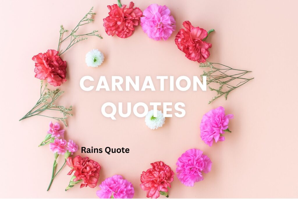 Find Hope & Joy in 16 Beautiful Carnation Quotes
