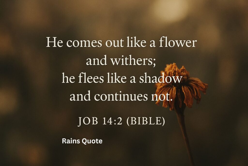"He comes out like a flower and withers; he flees like a shadow and continues not."