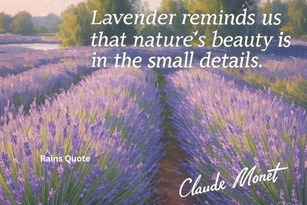 "Lavender reminds us that nature’s beauty is in the small details."