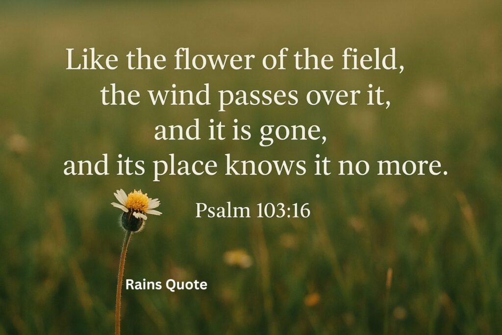 ”Like the flower of the field, the wind passes over it, and it is gone, and its place knows it no more.”