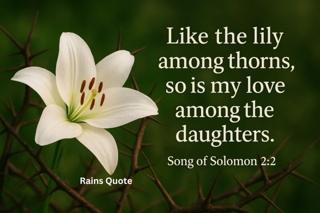 "Like the lily among thorns, so is my love among the daughters."