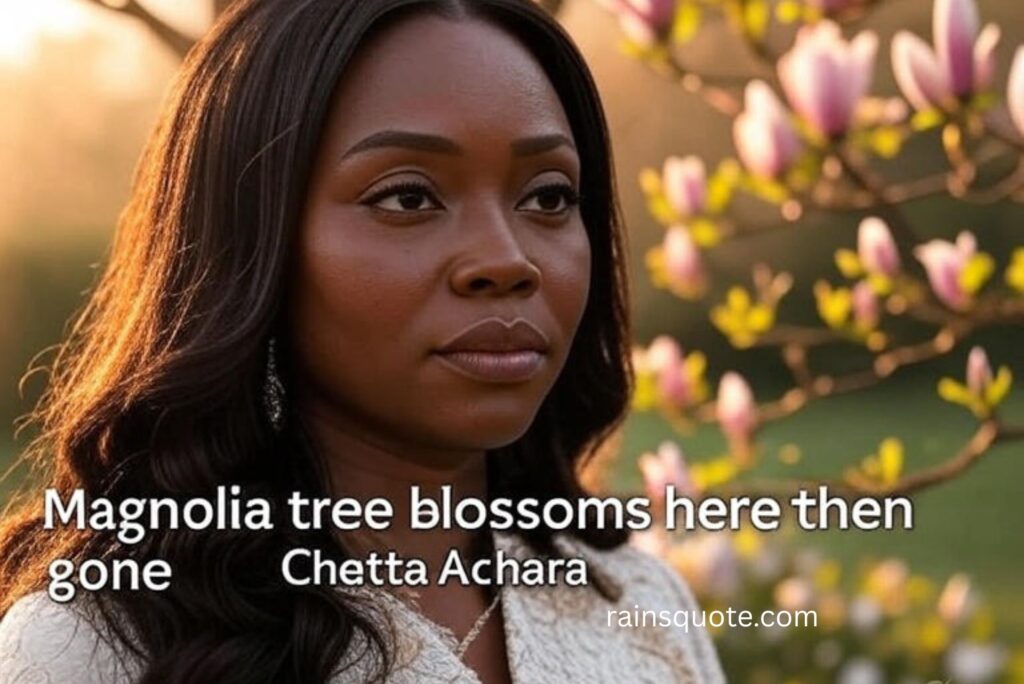 “Magnolia tree blossoms here then gone.”