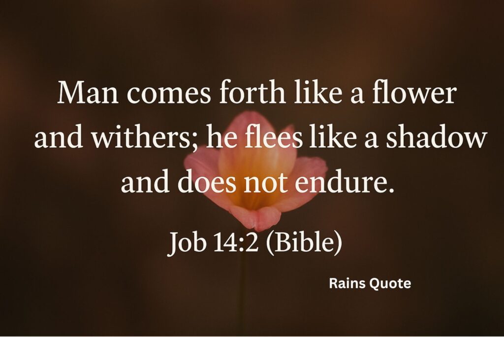 "Man comes forth like a flower and withers; he flees like a shadow and does not endure."