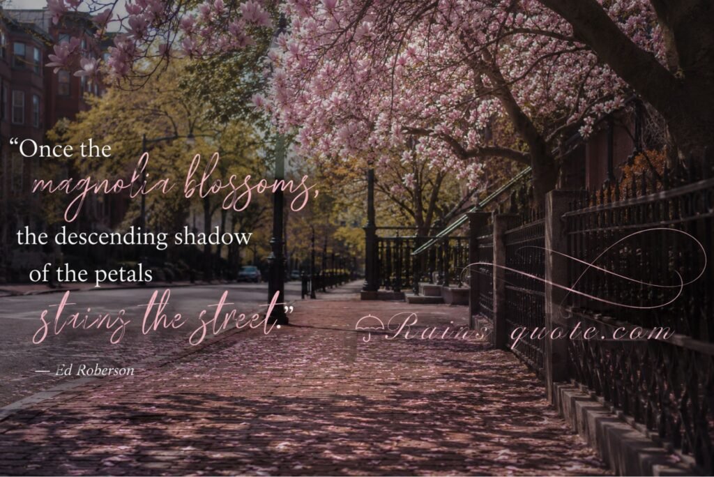 “Once the magnolia blossoms, the descending shadow of the petals stains the stree
