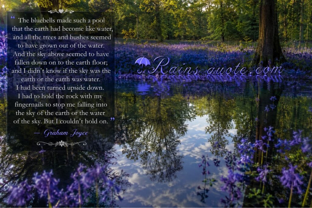 “The bluebells made such a pool that the earth had become like water, and all the trees and bushes seemed to have grown out of the water. And the sky above seemed to have fallen down on to the earth floor; and I didn’t know if the sky was the earth or the earth was water. I had been turned upside down. I had to hold the rock with my fingernails to stop me falling into the sky of the earth or the water of the sky. But I couldn’t hold on.”
