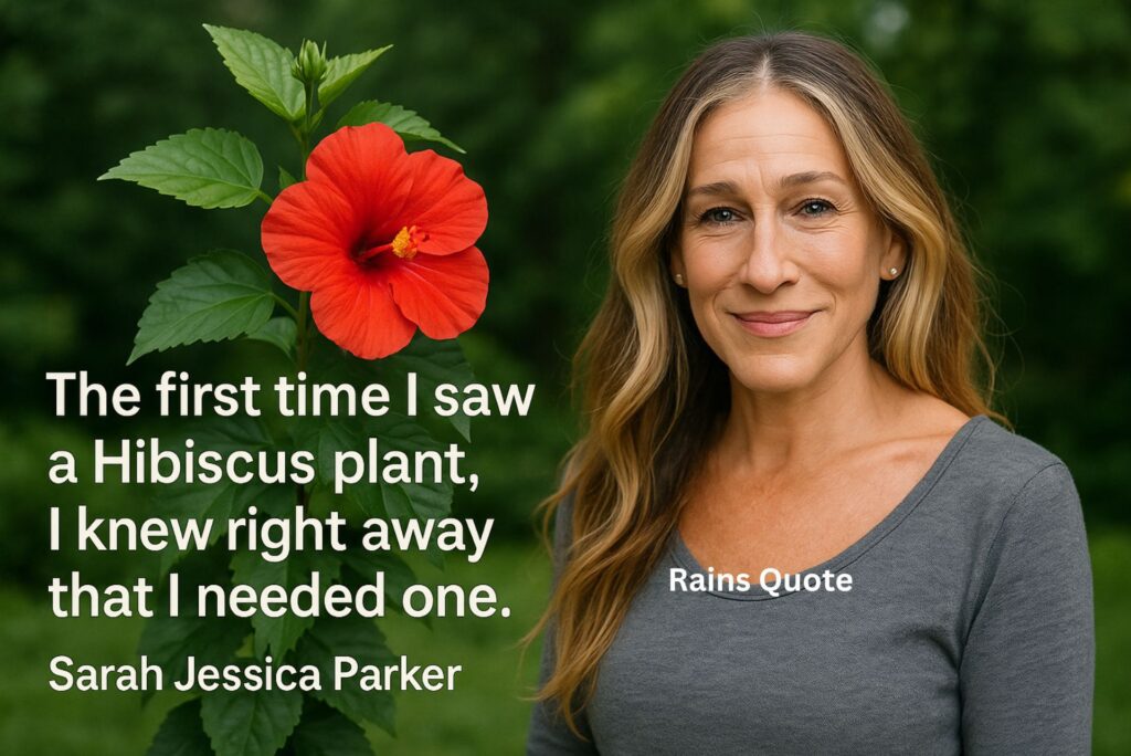 “The first time I saw a Hibiscus plant, I knew right away that I needed one.”