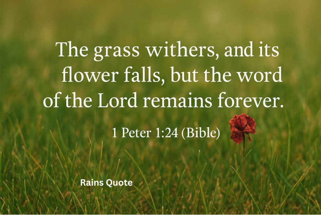 ”The grass withers, and its flower falls, but the word of the Lord remains forever.”