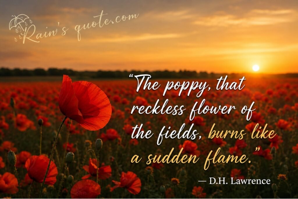 “The poppy, that reckless flower of the fields, burns like a sudden flame.”