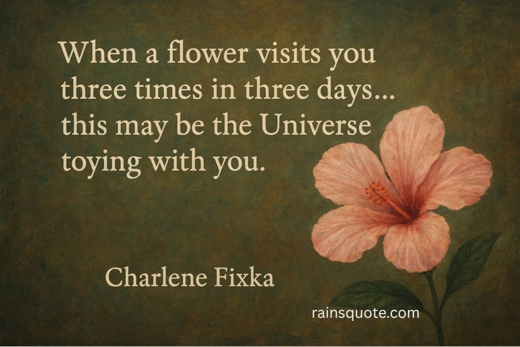 “When a flower visits you three times in three days… this may be the Universe toying with you.”