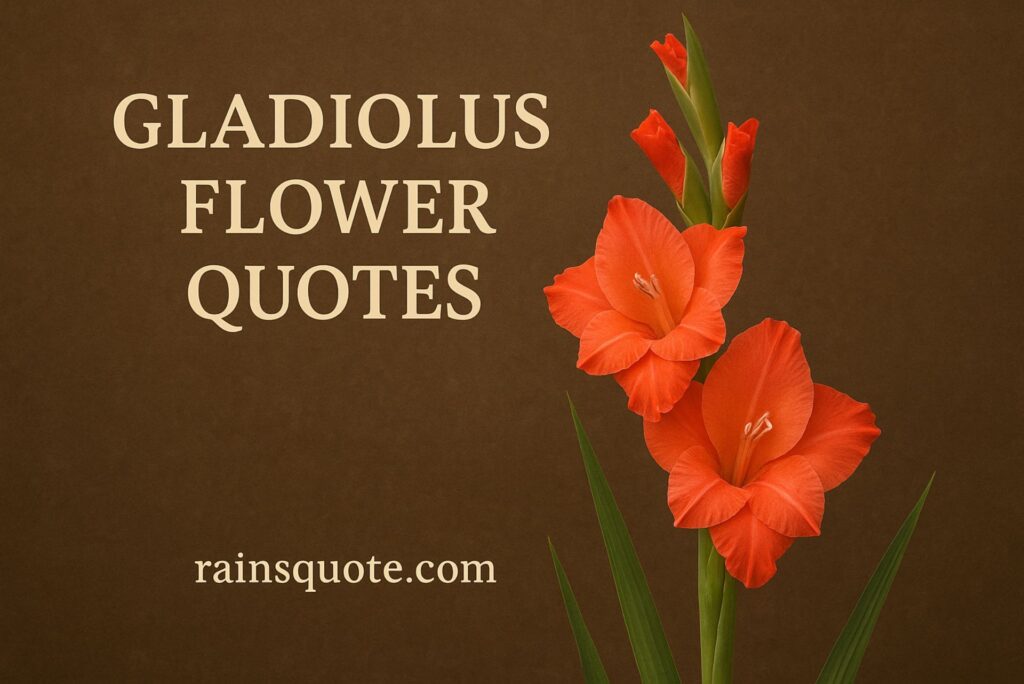 9 Inspirational Gladiolus Flower Quotes That Keep Me Strong