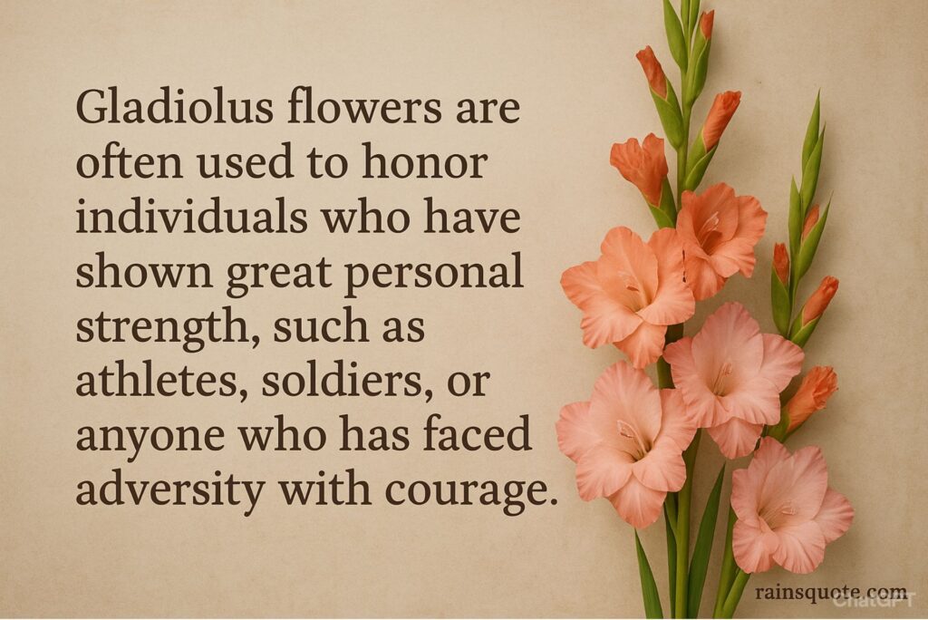 “Gladiolus flowers are often used to honor individuals who have shown great personal strength, such as athletes, soldiers, or anyone who has faced adversity with courage.”