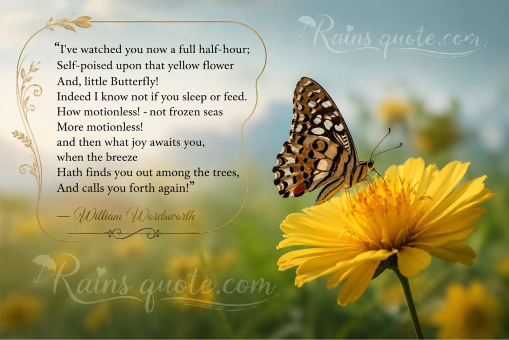 “I've watched you now a full half-hour; Self-poised upon that yellow flower And, little Butterfly! Indeed I know not if you sleep or feed. How motionless! - not frozen seas More motionless! and then what joy awaits you, when the breeze Hath finds you out among the trees, And calls you forth again!”