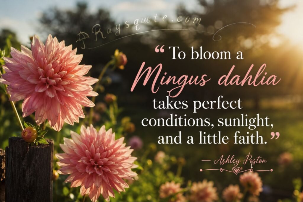 “To bloom a Mingus dahlia takes perfect conditions, sunlight, and a little faith.”