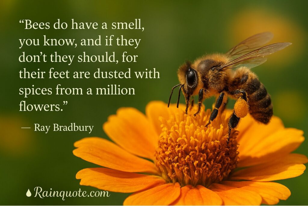 “Bees do have a smell, you know, and if they don’t they should, for their feet are dusted with spices from a million flowers.”