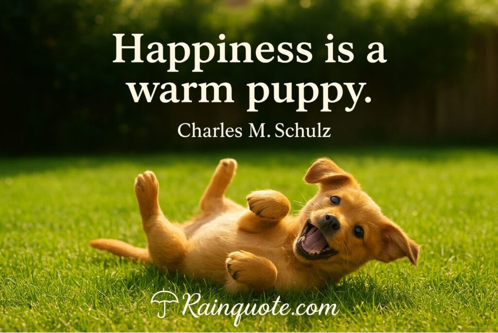 “Happiness is a warm puppy.” 