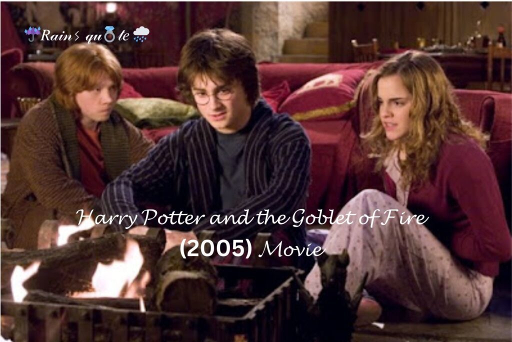 Harry Potter and the Goblet of Fire (2005)