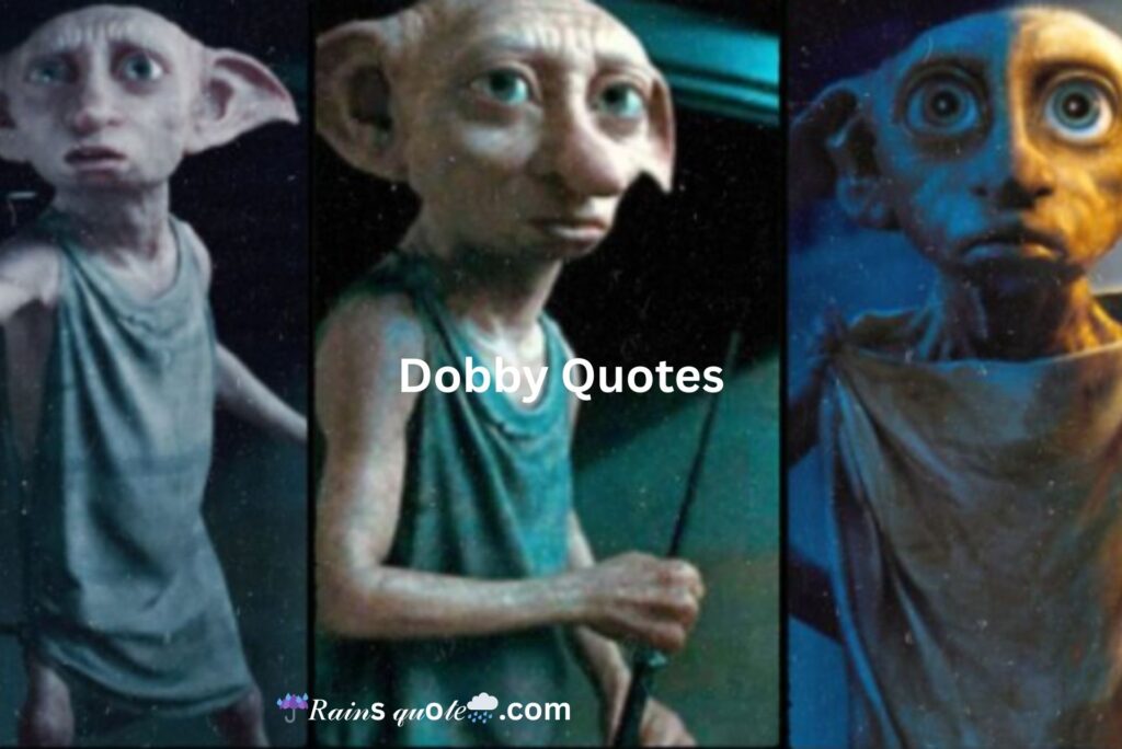 10 Dobby Quotes from Harry Potter That Will Make You Laugh & Cry