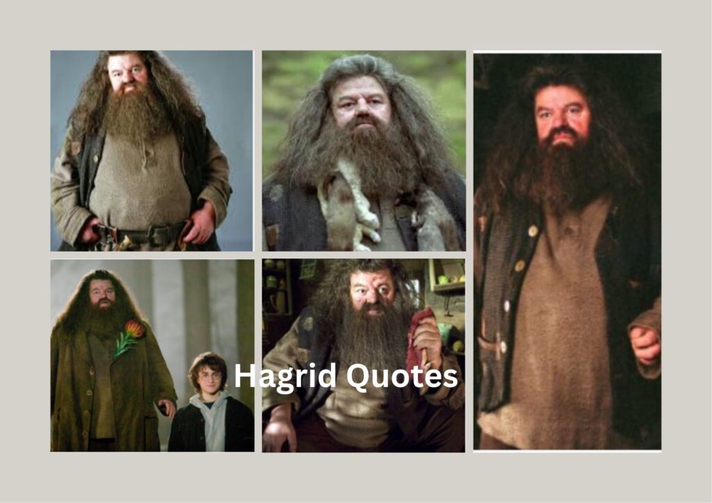 14 Hagrid Quotes from Harry Potter That Still Matter Today