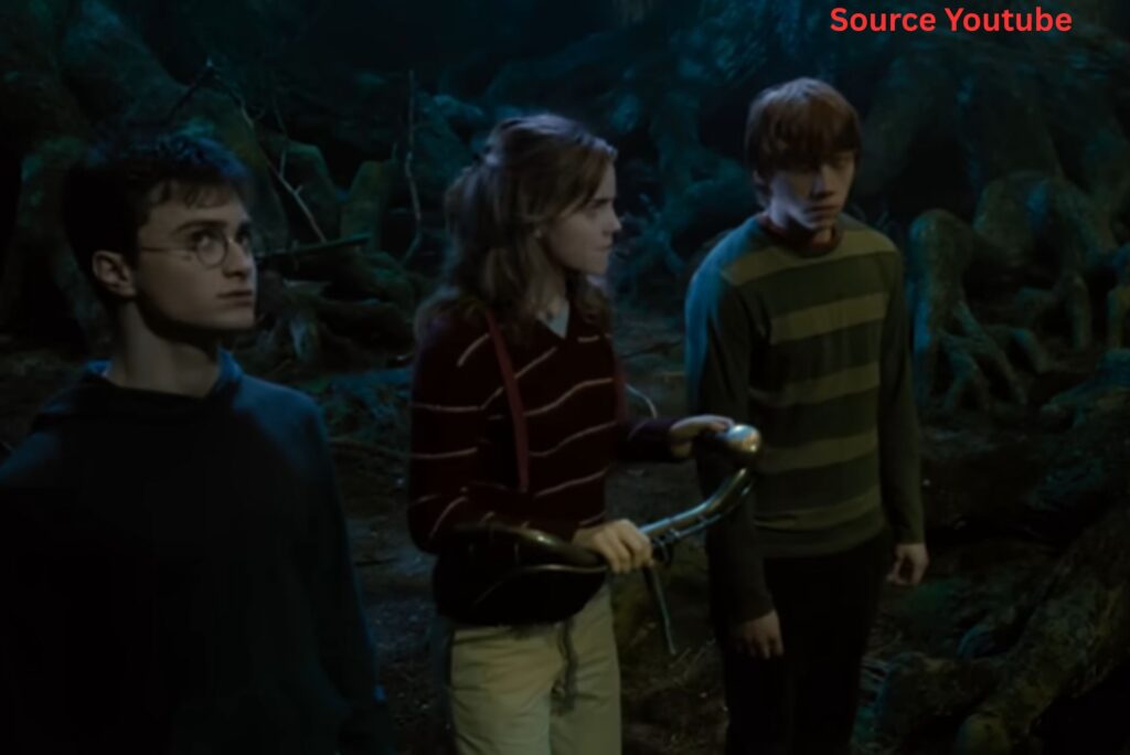 "Aren't You Two Ever Going to Read Hogwarts, A History?"