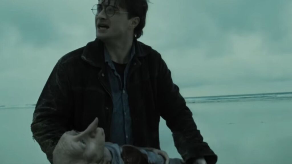 “Dobby Is Used To Death Threats, Sir. Dobby Gets Them Five Times A Day At Home.”