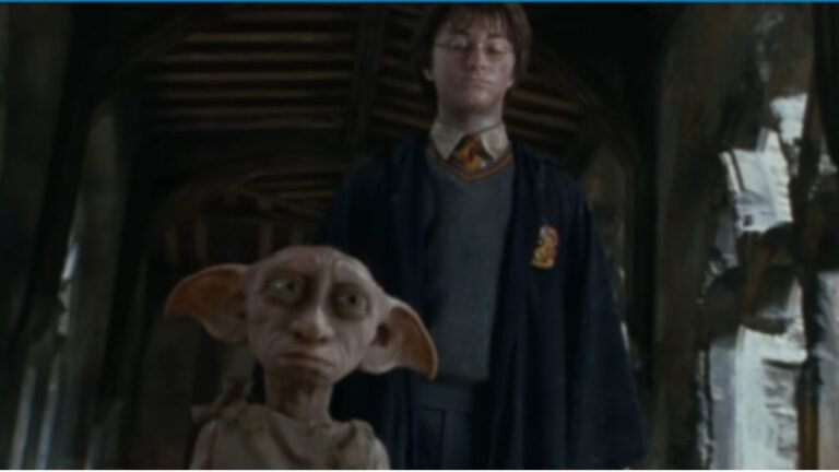 10 Dobby Quotes from Harry Potter That Make You Laugh & Cry