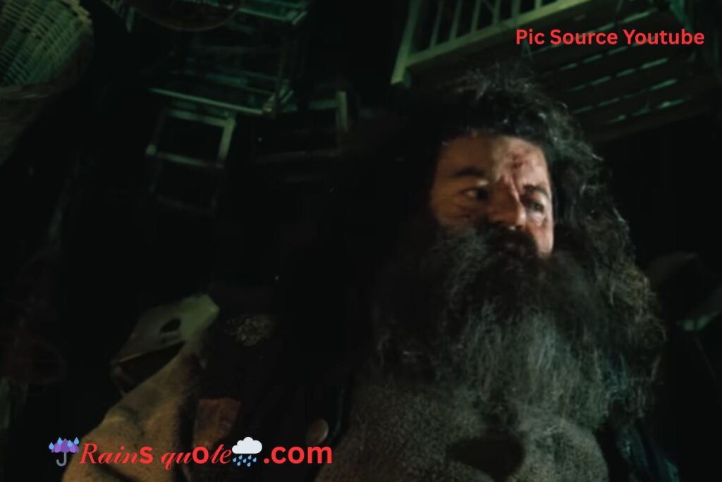 "Dry Up Dursley, You Great Prune."