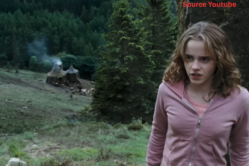 " I Checked This Out Weeks Ago for a Bit of Light Reading."