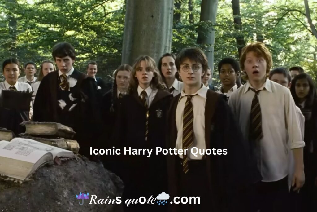 Iconic Harry Potter Quotes That Truly Inspire You
