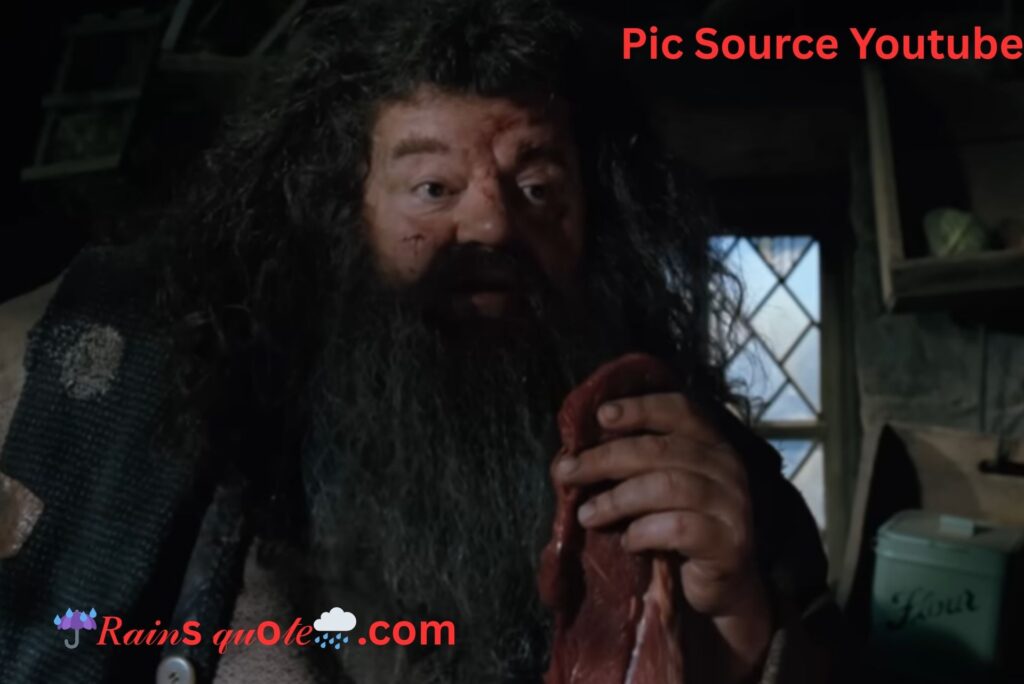 “Look! He Knows His Mummy! Hello, Norbert!”