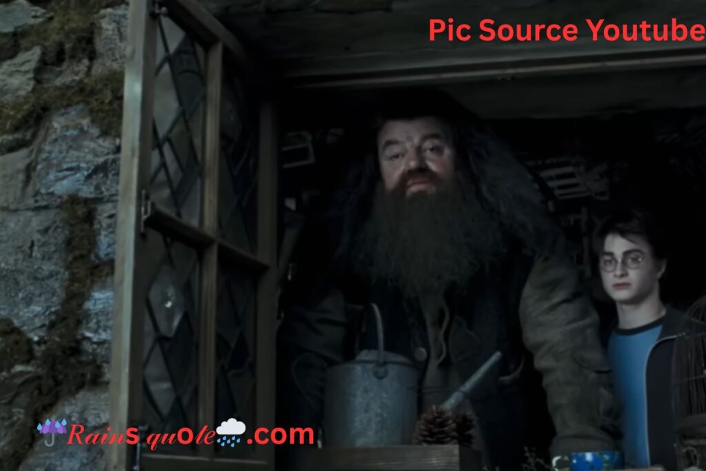 ”Mad And Hairy? You Wouldn't Be Talkin' About Me, Now Would Ya?”