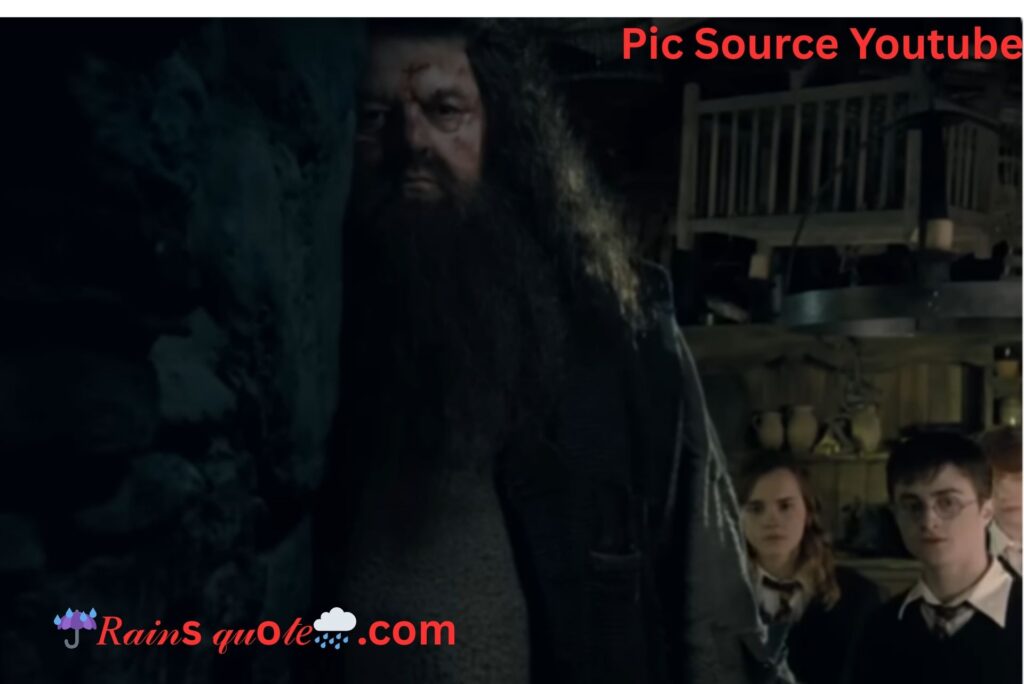 "There's A Storm Coming, Harry. We'd All Best Be Ready When She Does"