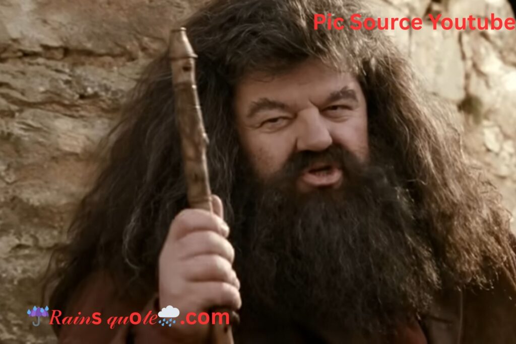 "What's Comin' Will Come, And We'll Meet It When It Does."