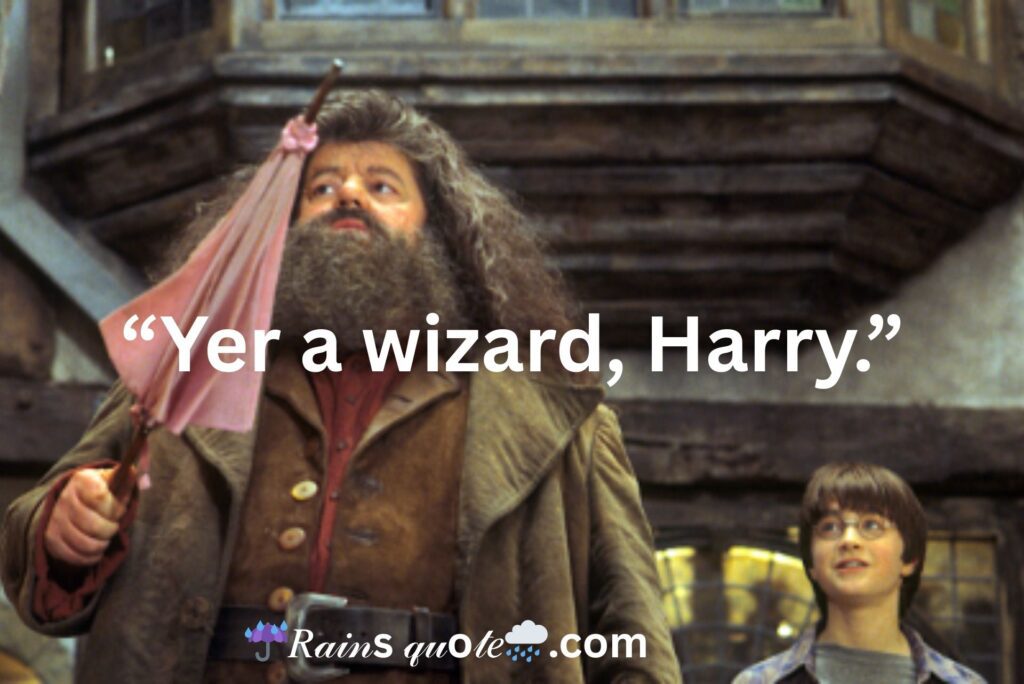 “Yer a wizard, Harry.”