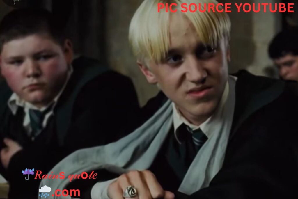 "You'll Soon Find Out That Some Wizarding Families Are Better Than Others, Potter."