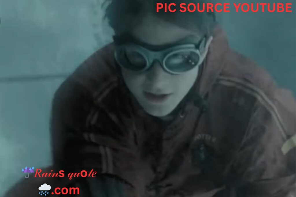 "You're Gonna Regret This! You And Your Bloody Chicken!"