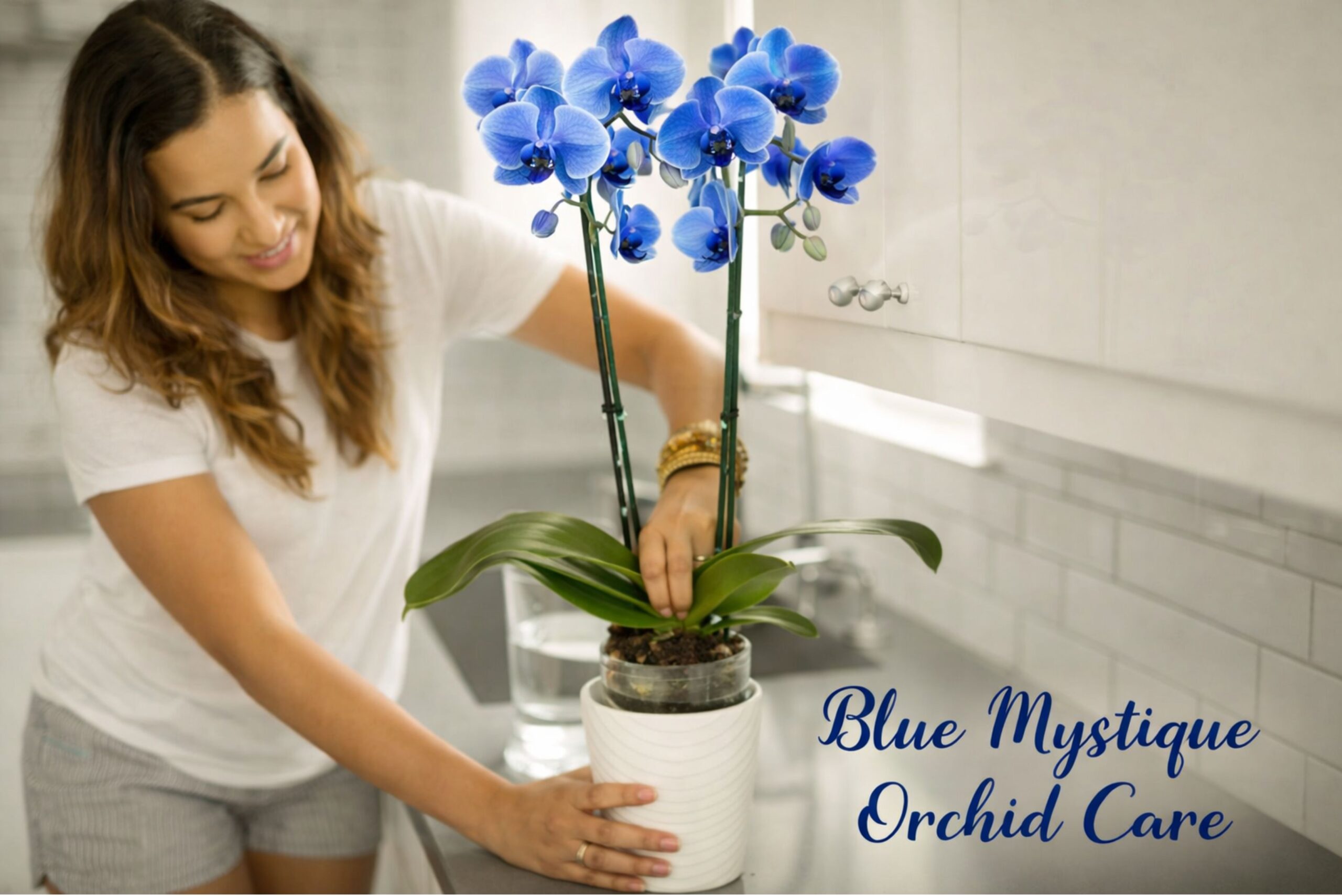 Blue Mystique Orchid Care: Why Everyone is Talking About It