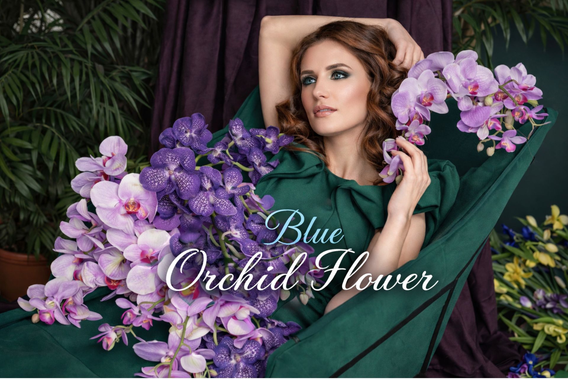 Blue Orchid Flower: Identify Real Ones & Care for Them