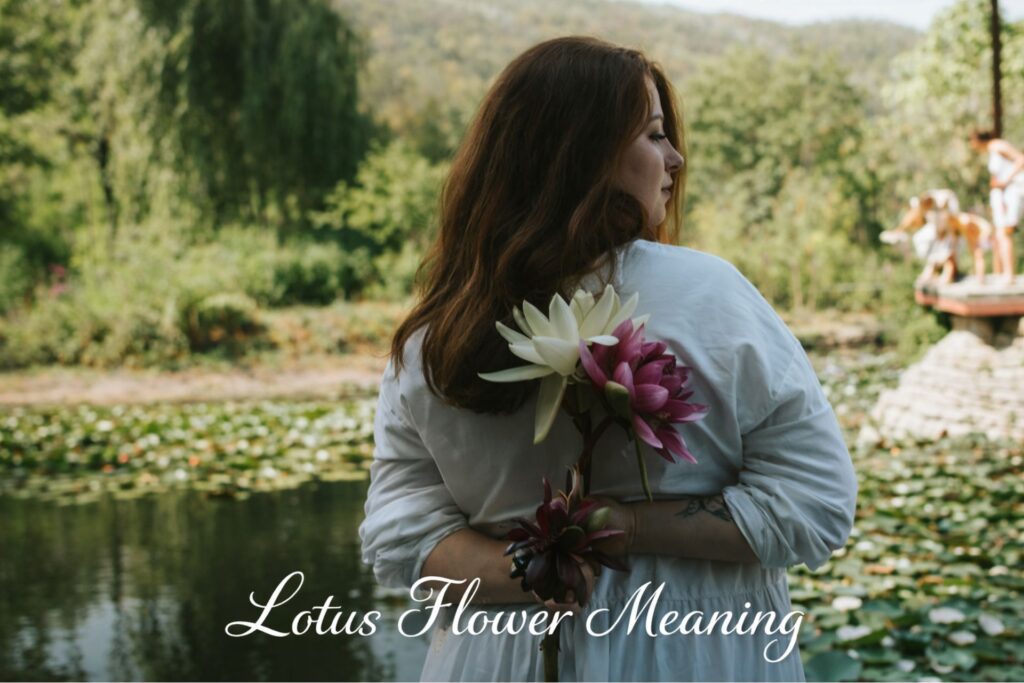 Lotus Flower Meaning: What It Teaches About Life and Growth