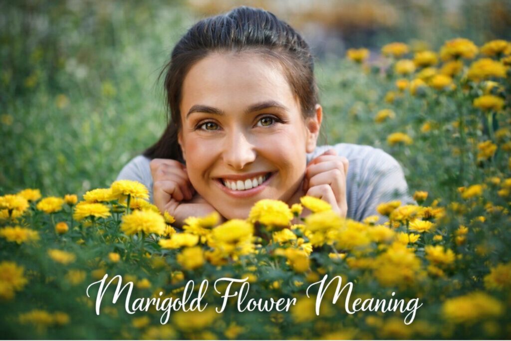 Marigold Flower Meaning: Why It Matters to Hearts & Life