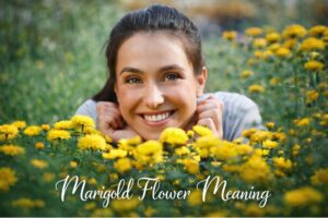 Marigold Flower Meaning: Why It Matters to Hearts & Life