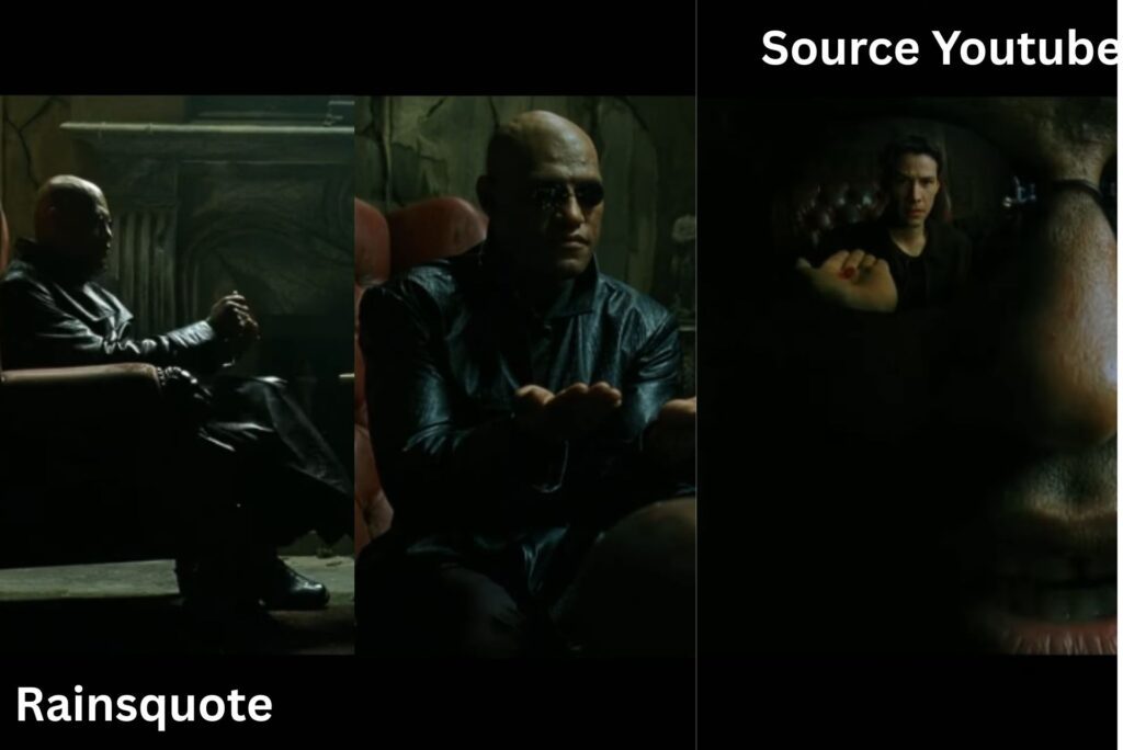 👀 “…and I show you how deep the rabbit-hole goes.”