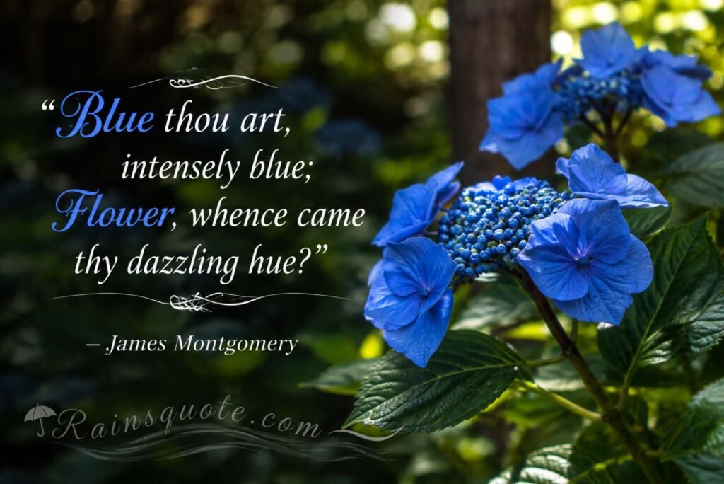 “Blue thou art, intensely blue; Flower, whence came thy dazzling hue?”